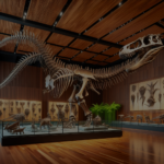 A világ legértékesebb dinoszaurusz csontváza